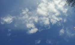 2013-02-07 08.29.37.jpgのサムネール画像